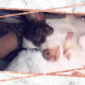 Meet your Posher, Patricia